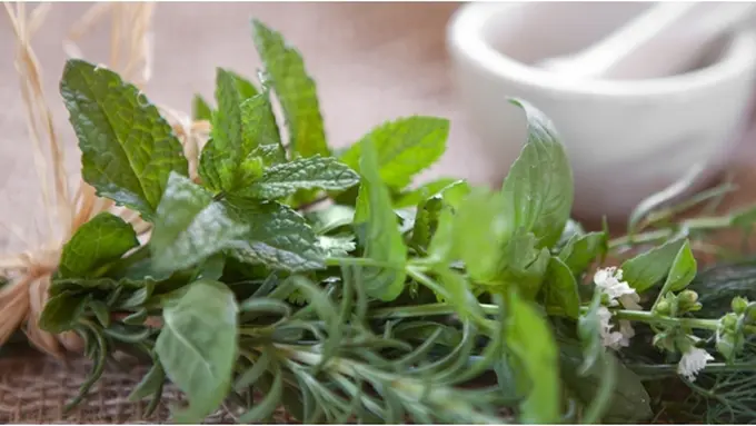 Copyright by shutterstock.com