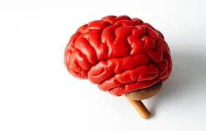 Gejala Khas Tumor Otak, Sakit Kepala Tak Kunjung Hilang Malah Makin Parah. Foto dibuat oleh AI.