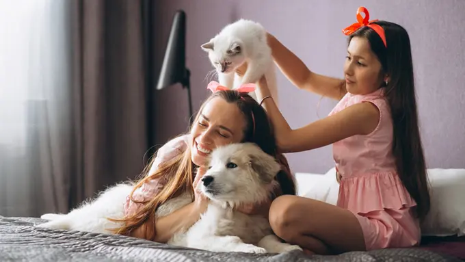 Kucing Versus Anjing, Mana yang Lebih Tenang Dipelihara di Rumah?