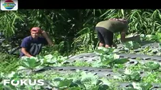 Jumat pagi, informasi dari petugas pemantau, guguran terjadi sekitar pukul 09.41 WIB.