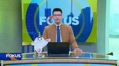 Simak Fokus edisi (23/09) dengan berita-berita sebagai berikut, Tanah Bergerak, Jembatan Roboh, Si Wanita Emas Ditahan Kejagung, Temuan Artefak di Proyek MRT.