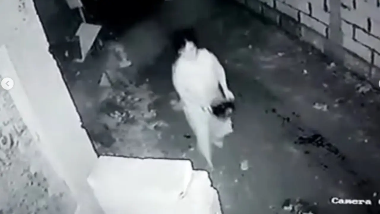 Video viral perlihatkan emak-emak di Sidoarjo menyiram air kencing ke depan rumah tetangganya sejak 2017. (Foto: capture video viral di medsos).