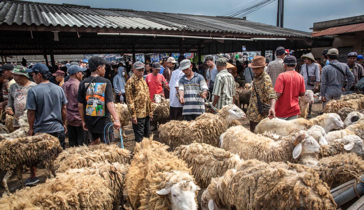 Domba-domba dipajang untuk dijual di pasar ternak menjelang hari raya Idul Adha, di Ambarawa, Jawa Tengah pada Sabtu 16 Mei 2026. (DEVI RAHMAN/AFP)