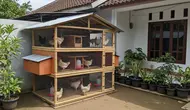 7 Model Kandang Ayam Bertingkat untuk Menghemat Tempat, Cocok di Lahan Sempit