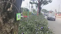 Salah satu pohon yang telah terpasang barcode di Jalan Raya Margonda, Kota Depok. (Liputan6.com/Dicky Agung Prihanto)