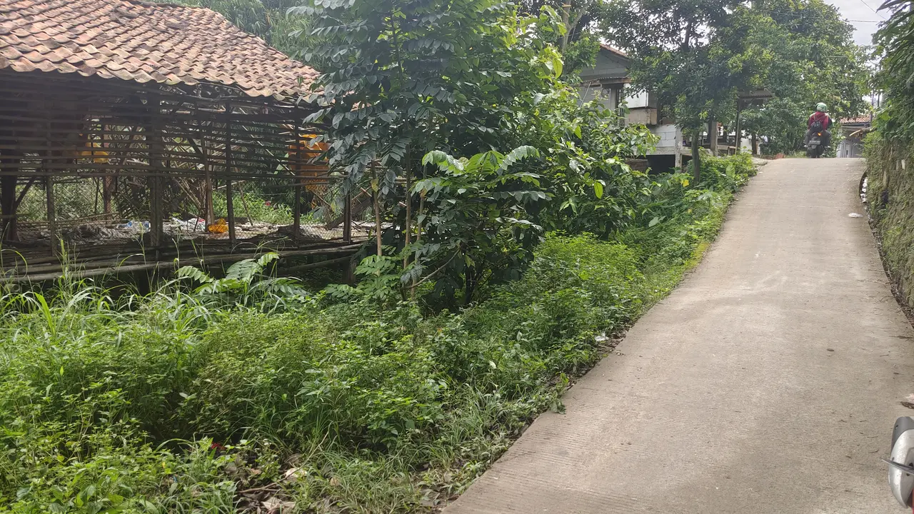 Sadis! Wanita Korban Kecelakaan di Depok Dibuang di Kandang Ayam