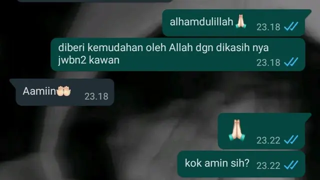 6 Chat Kakak dan Adik Saat Pembahasan Serius Ini Bikin Senyum Tipis