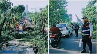 Perantingan Pohon di Surabaya (Sumber: Instagram/surabaya)