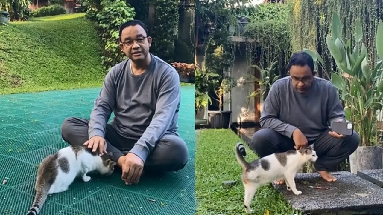 Cerita Anies Baswedan Mengadopsi Kucing Berkaki Tiga