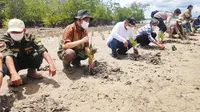 Penanaman bibit mangrove oleh Badan Restorasi Gambut dan Mangrove di Kota Dumai. (Liputan6.com/M Syukur)