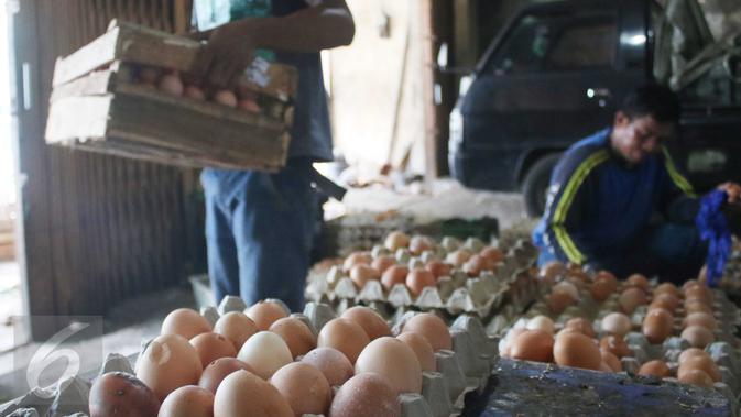 Pekerja mengangkat peti telur ayam diagen, Jakarta, Senin (27/3). Pemerintah dinilai lamban mengatasi kondisi kelebihan pasokan ayam hidup dan telur, menyebabkan harga jatuh di tingkat peternak. (Liputan6.com/Angga Yuniar)