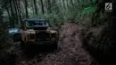 Mobil offroad 4x4 klasik Land Rover melewati hutan pinus menuju trek Sukawana-Cikole di Kab Bandung Barat, Jawa Barat, Jumat (19/10). Wisata offroad ini menjadi salah satu destinasi wisata yang dapat memacu adrenalin. (Liputan6.com/Faizal Fanani)