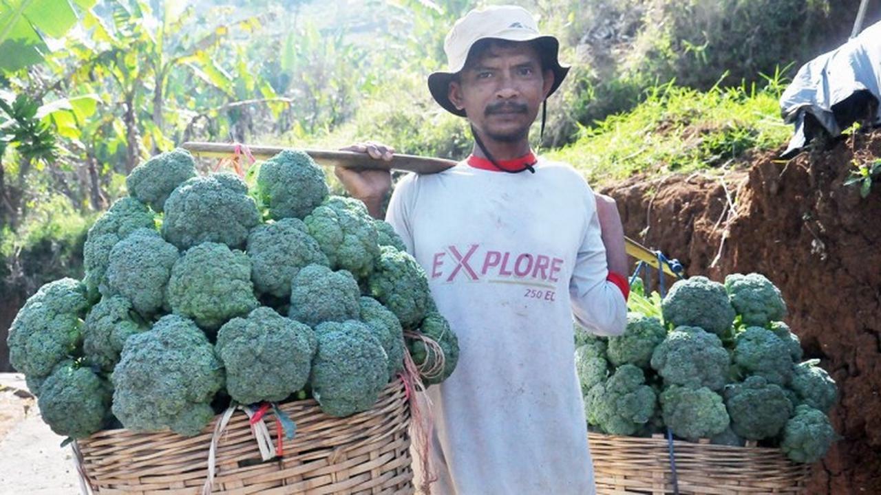 Hari Pangan Sedunia 2021