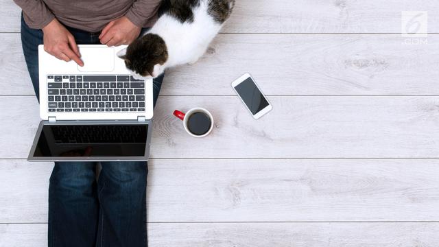 Ilustrasi melamar pekerjaan