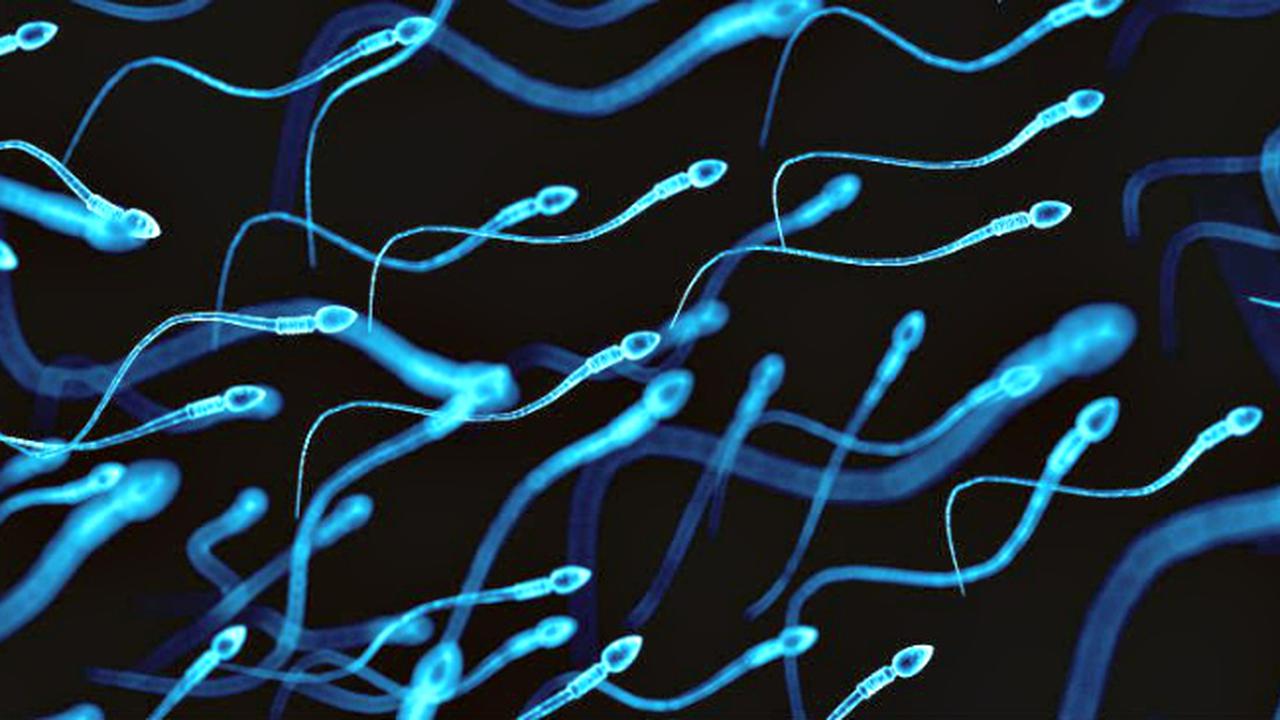 Yalangoch Gollivud aktyorlarining fotosuratlari