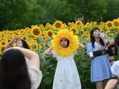 Orang-orang berfoto di ladang bunga matahari di sebuah taman di Beijing pada 2 Juli 2023. (Photo by Jade Gao / AFP)