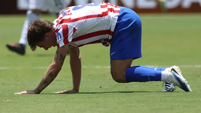Atletico Madrid Vs Botafogo