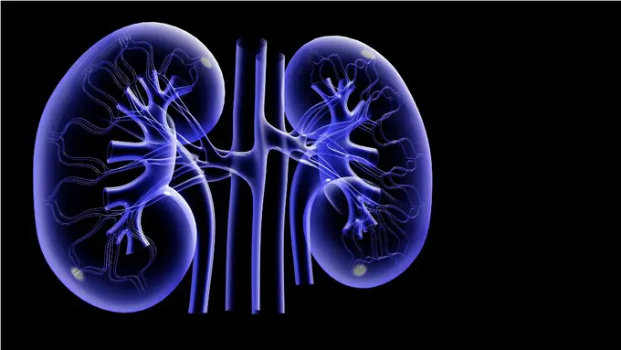 3 Rumah Sakit di Jakarta Ini Diduga Jual Organ Dalam