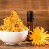 Ilustrasi Calendula/copyright shutterstock