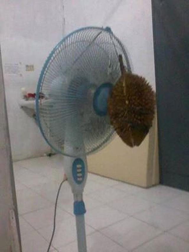 6 Gantungan Pengharum Ruangan di Kipas Angin Ini Nyeleneh Banget, Kocak