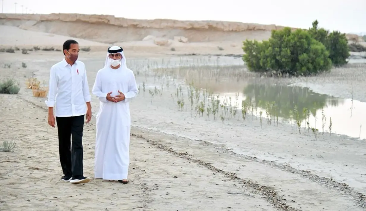 Presiden Joko Widodo atau Jokowi (kiri) didampingi Menteri Energi dan Infrastruktur Persatuan Emirat Arab (PEA) Suhail Al Mazrouei saat meninjau tanaman mangrove di Jubail Mangrove Park, Pulau Al Jubail, Abu Dhabi, PEA, Rabu (3/11/2021). (Foto: Biro Pers Sekretariat Presiden)