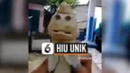 THUMBNAIL HIU