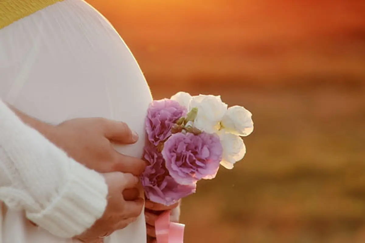 copyright by shutterstock.com