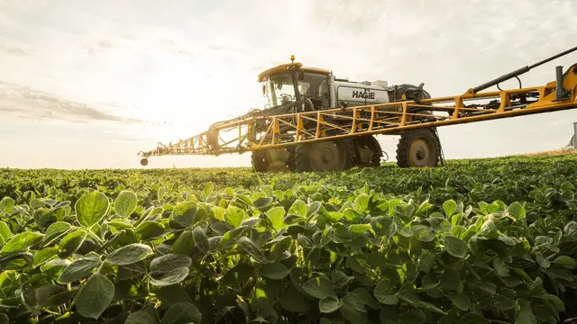 Importir kedelai Amerika Serikat kini akan menerima sertifikat Protokol Jaminan Keberlanjutan Kedelai (Soy Sustainability Assurance Protocol / SSAP)