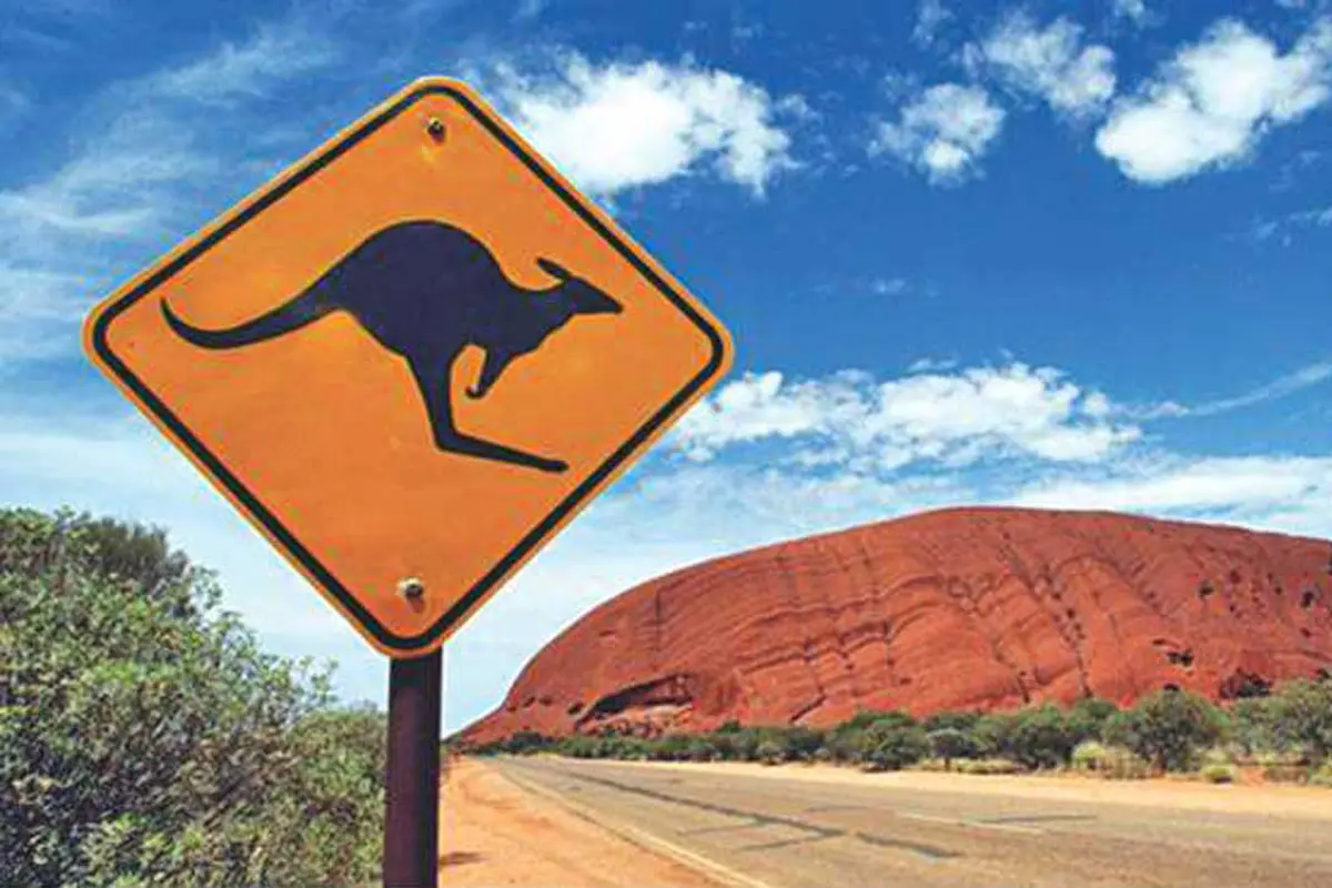 10 Hewan yang Membuktikan Kalau Australia Itu Seram