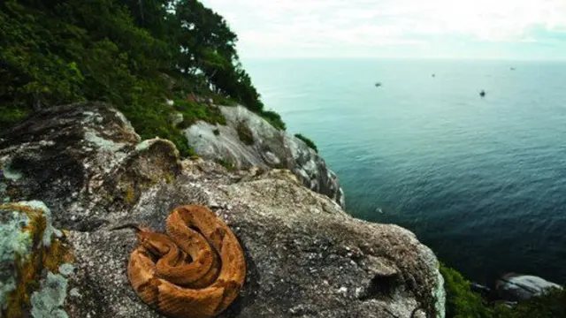 7 Pulau Paling Berhantu, Berani Jajal Nyali ke Sini?