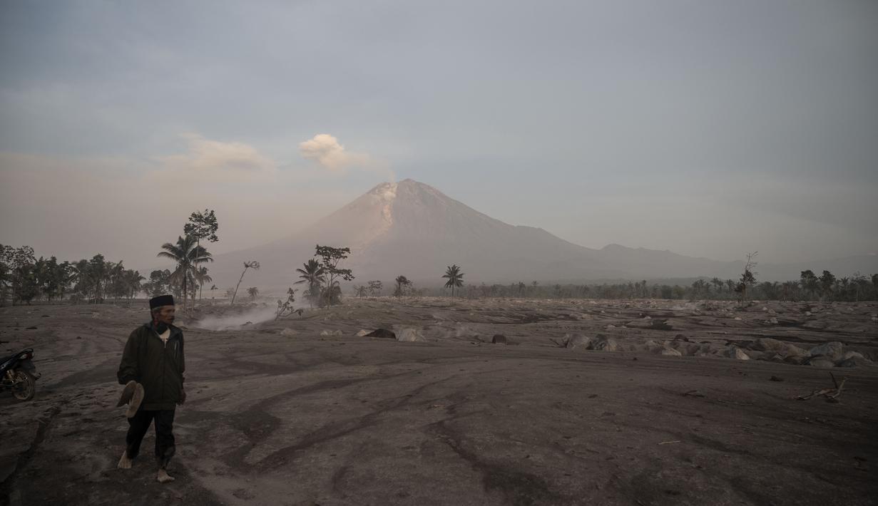 Seorang pria berdiri di depan Gunung Semeru menyusul letusan gunung berapi di desa Kajar Kuning di Lumajang (5/12/2022). Gunung Semeru meletus pada tanggal 4 Desember memuntahkan awan abu panas setinggi satu mil dan sungai lava di sisinya sambil memicu evakuasi hampir 2.000 orang tepat satu tahun setelah letusan besar terakhirnya menewaskan puluhan orang. (AFP/Juni Kriswanto)