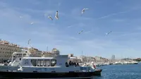 Suasana deretan kapal berlabuh dan burung-burung terbang di Pelabuhan Vieux Port, Marseille, Prancis, Minggu (3/7/2016). (Bola.com/Vitalis Yogi Trisna)