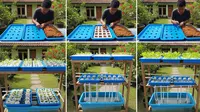 7 Cara Membuat Hidroponik dari Nampan Bekas Tanpa Listrik, Mudah Perawatan bagi Pemula