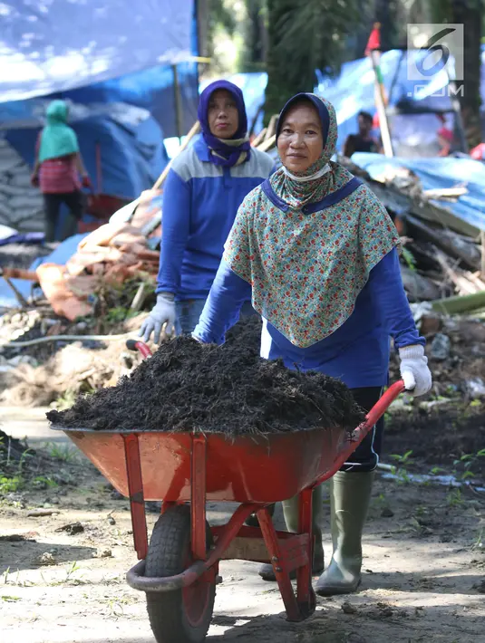 Pekerja dari kelompok tani mekar jaya binaan PT Wirakarya Sakti unit forestry APP Sinarmas mengangkut pupuk kompos di Kab Tanjung Jabnung Barat, Jambi, Kamis (3/5). Usaha pupuk kompos tersebut beromzet 1 miliar. (Liputan6.com/Angga Yuniar)