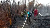 Pendinginan lahan bekas terbakar oleh BBKSDA Riau di Cagar Biosfer Giam Siak Kecil. (Liputan6.com/M Syukur)