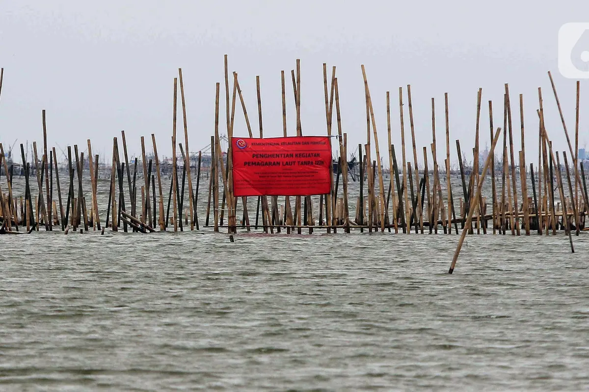 Awalnya Sah, Ini Penampakan Pagar Laut Bekasi yang Kini Disegel Dirjen PSDKP KKP