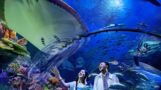 Potret Sea World Ancol (Sumber: Tiket.com)