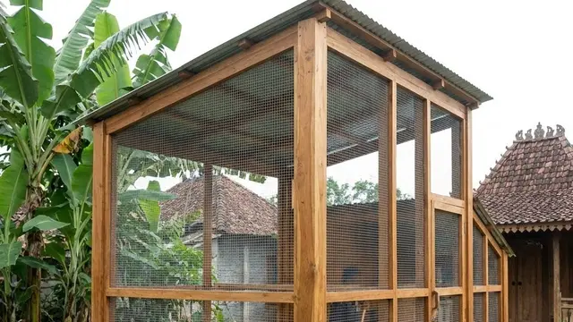 Desain Kandang Ayam Kombinasi Kayu dan Kawat Galvanis Premium