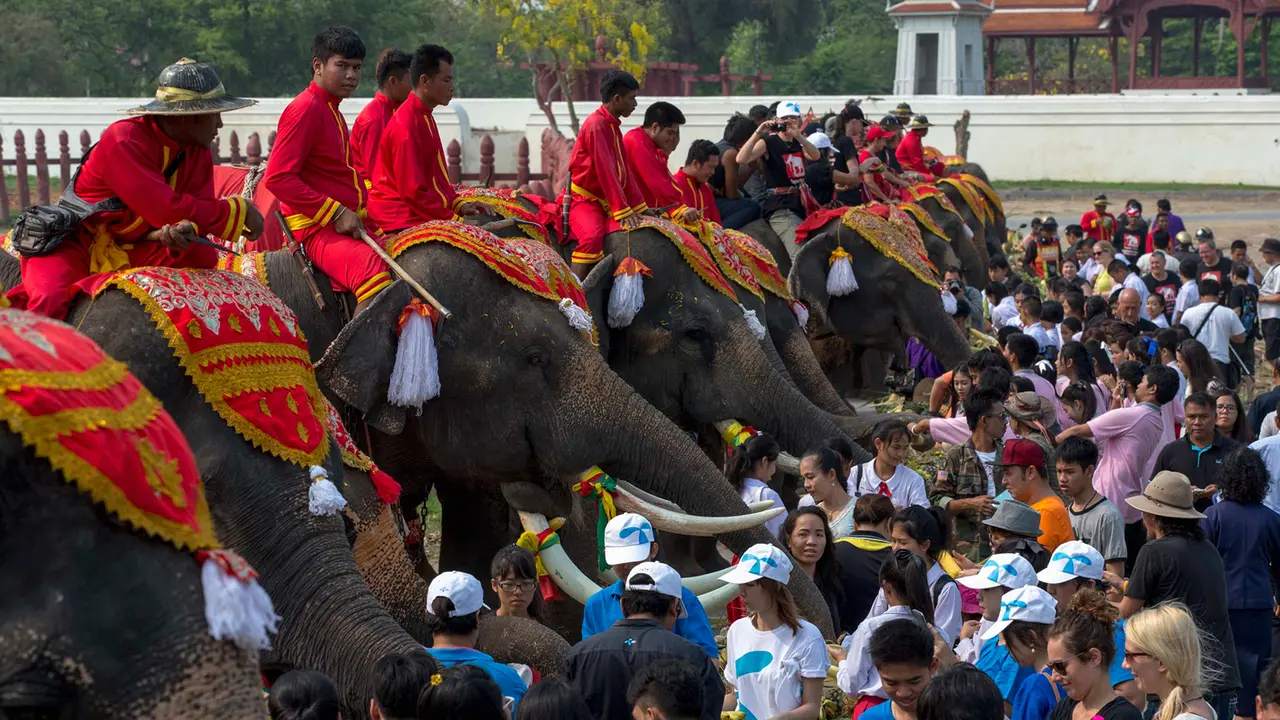 Keseruan Hari Nasional Gajah di Thailand