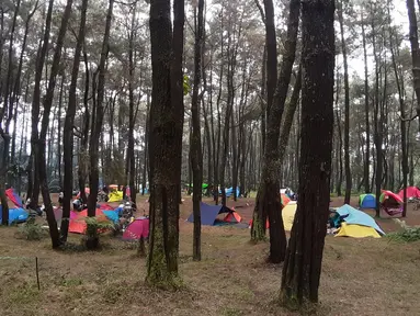 Pengunjung saat berada di lokasi perkemahan Curug Hiji, Bogor, Minggu (5/9/2021). Meski Kabupaten Bogor masih dalam masa PPKM level 3, sejumlah lokasi wisata luar ruangan mulai ramai dikunjungi pengunjung. (Liputan6.com/Helmi Fithriansyah)