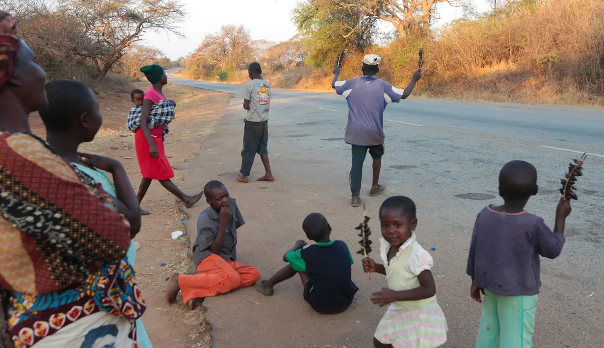 Sejumlah warga menjual daging tikus yang sudah diolah menjadi makanan di Chidza, Zimbabwe (23/9). Meski terlihat menjijikan, di beberapa negara di dunia tikus malah tergolong makanan lezat, salah satunya yaitu di Zimbabwe. (AP Photo/Tsvangirayi Mukwazhi)