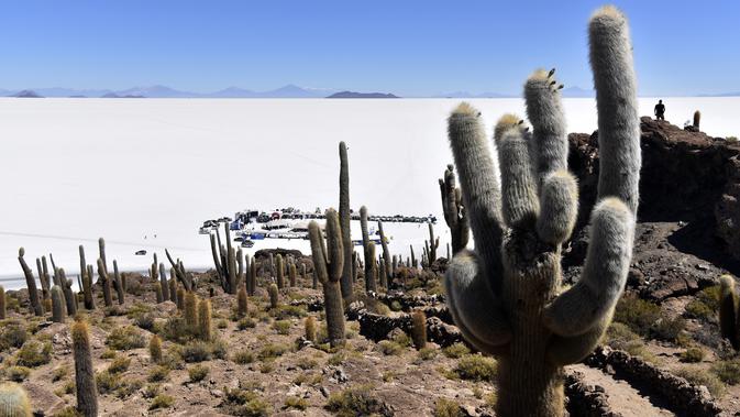 Pemandangan Salar de Uyuni, dataran garam terluas di dunia yang terletak di Altiplano, Bolivia, 28 September 2019. Salar de Uyuni terbentuk dari kerak garam ini memiliki permukaan datar dengan ketebalan sekitar satu meter yang menyelimuti seluruh permukaan danau. (Photo by Aizar RALDES / AFP)