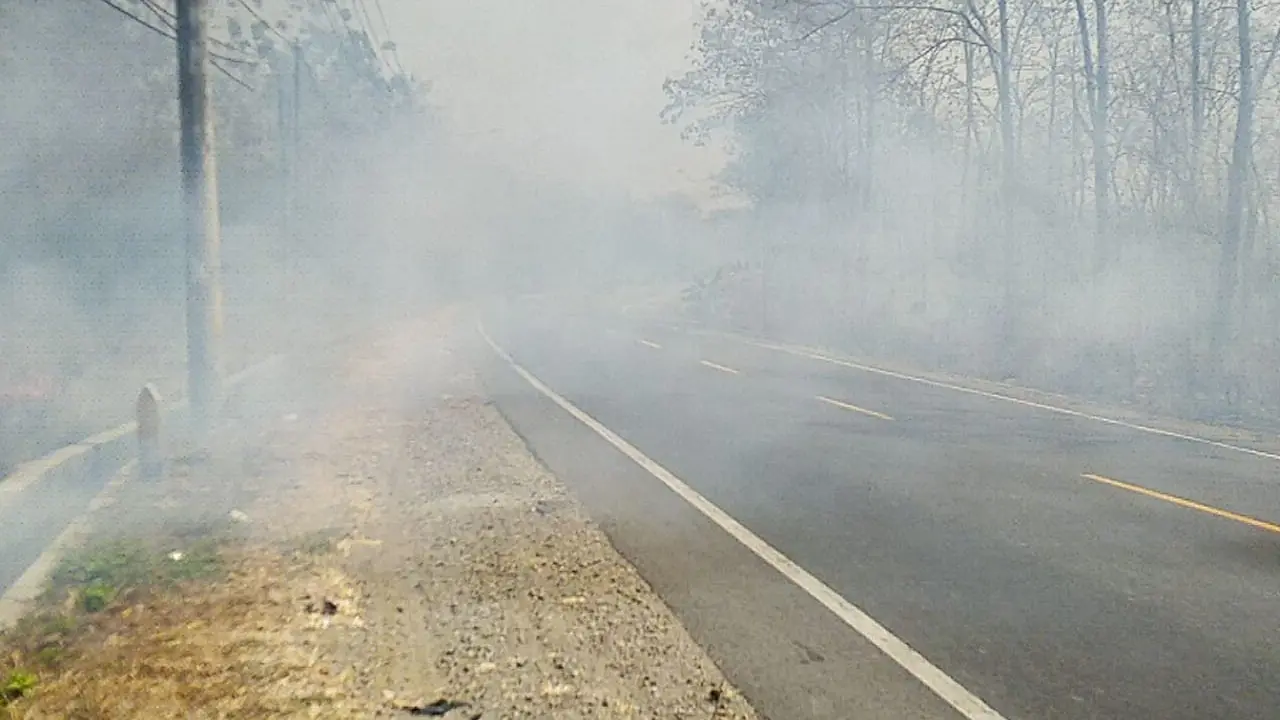 Hutan Jati Blora Terbakar