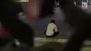 Seorang umat Islam membaca Al-Quran di Masjid At Tin, Jakarta, Selasa (14/7). Bulan suci Ramadan dimanfaatkan umat muslim untuk mendekatkan diri kepada Allah SWT dengan meningkatkan ibadah di masjid. (Liputan6.com/Helmi Fithriansyah)