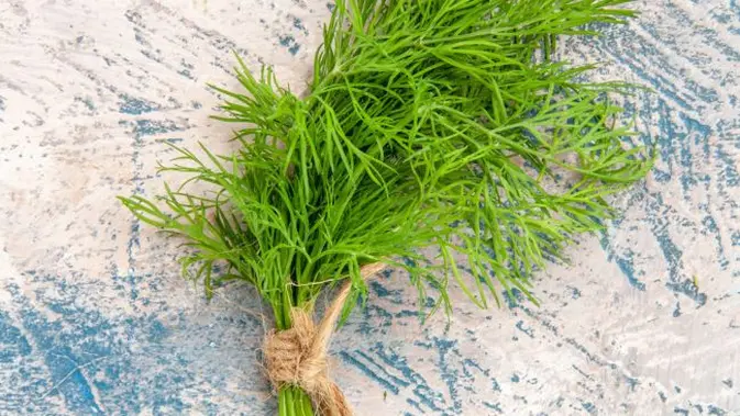 Daun Adas untuk Diabetes, Begini Cara Merebusnya!