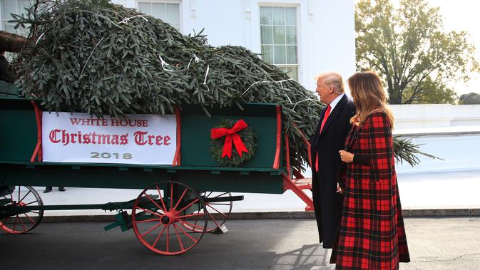 Presiden Donald Trump dan Melania Trump menerima pohon Natal di halaman Utara Gedung Putih, Washington, Senin (19/11). Pohon cemara setinggi hampir 6 meter itu akan dipajang di Ruang Biru Gedung Putih sejak tahun 1966. (AP/Manuel Balce Ceneta)
