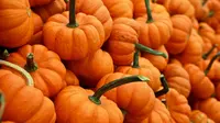 Buah labu kuning atau pumpkin (sumber: unsplash)