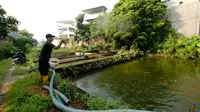 Program MBG Gerakkan Ekonomi Desa, Peternak Ikan Lokal Makin Laris Manis