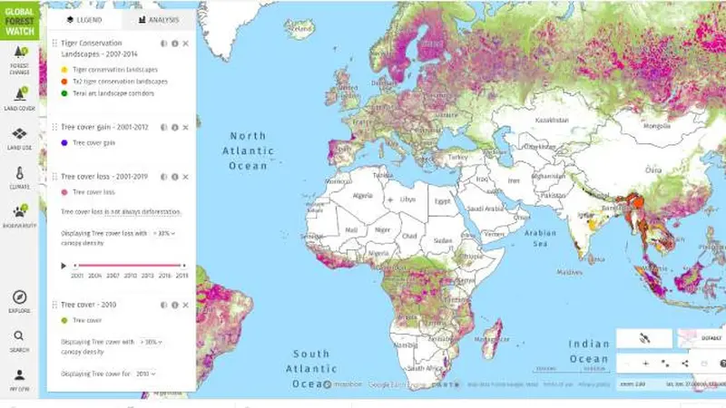 Global Forest Watch. Dok: Google