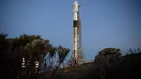 NASA kirim pesawat luar angkasa DART menggunakan roket Falcon 9 (Foto: NASA/ Bill Ingalls).